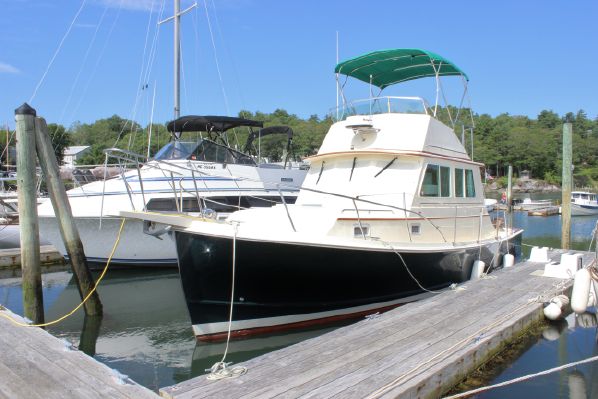 Blue Seas 31 Robinhood listing