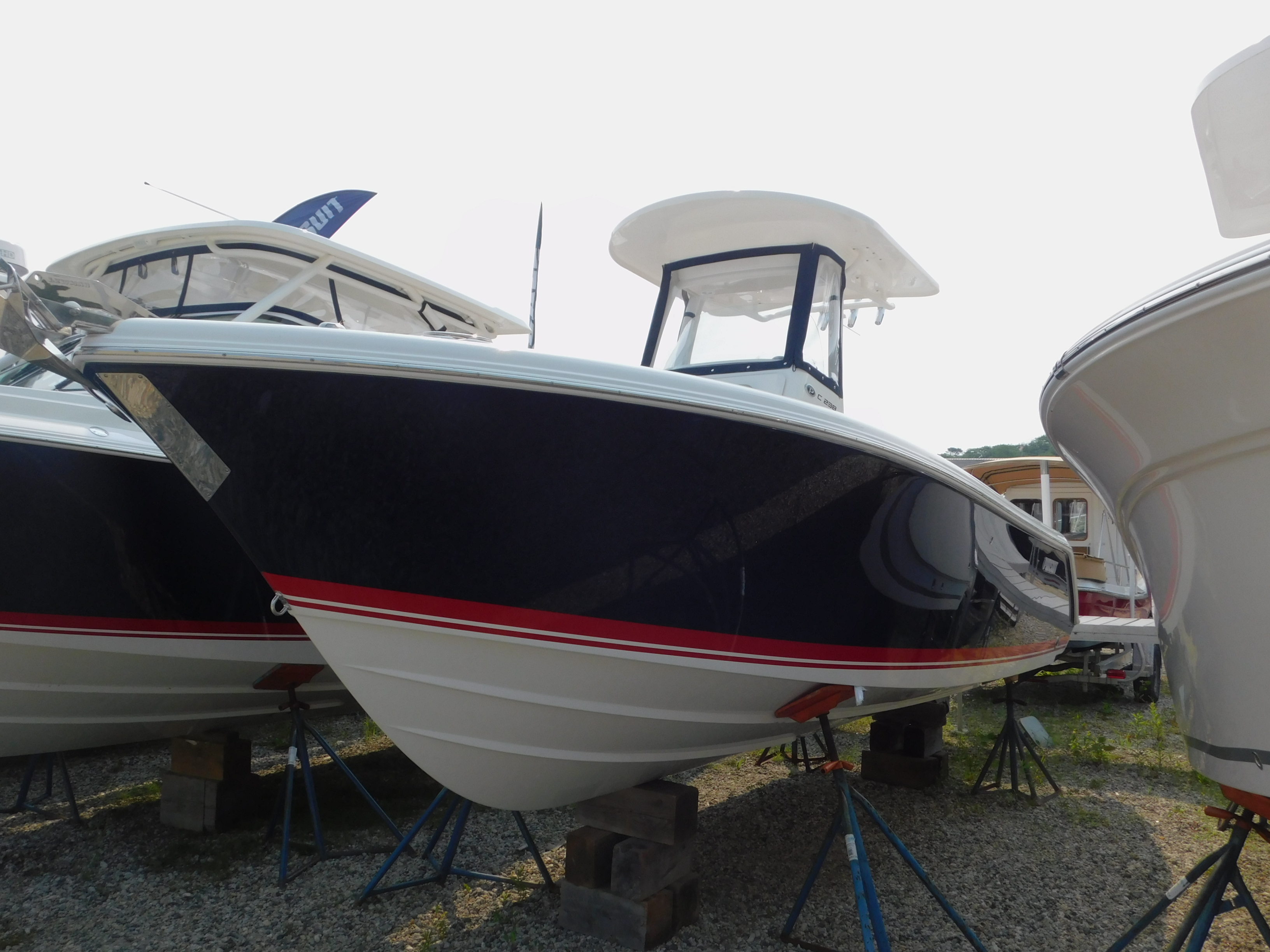 Pursuit 2020 C238 blue
