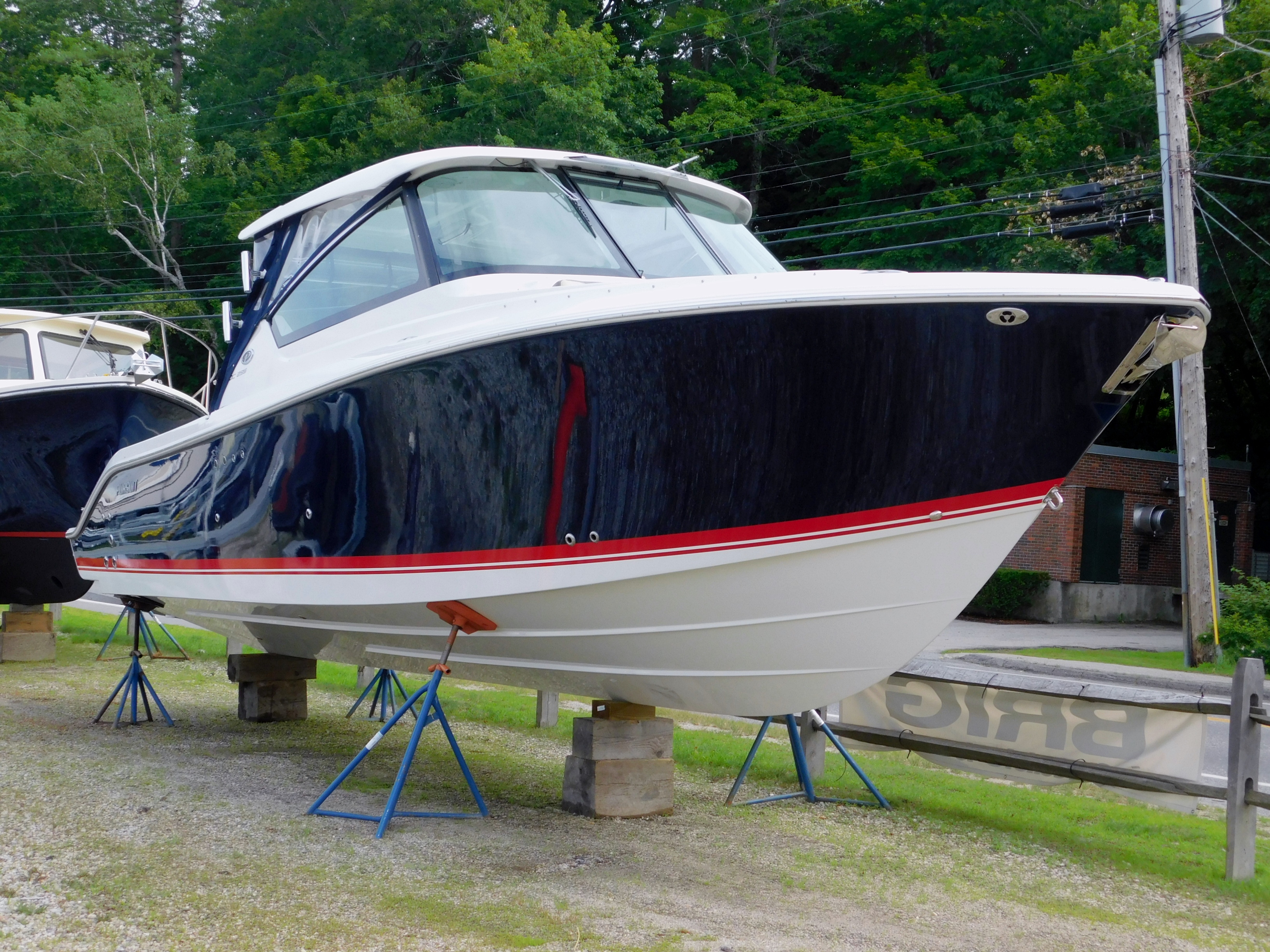 Pursuit 2020 DC 295 Blue