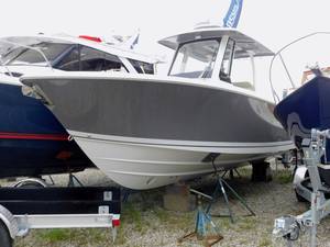 Pursuit S288 2019