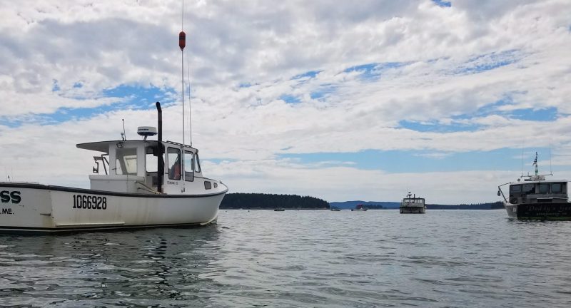 Commercial fishing boats on moorings in Maine