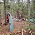 Canoes stored in the woods