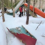Collecting old canoes in the woods