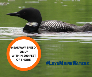 Love Maine Waters Logo with Loon